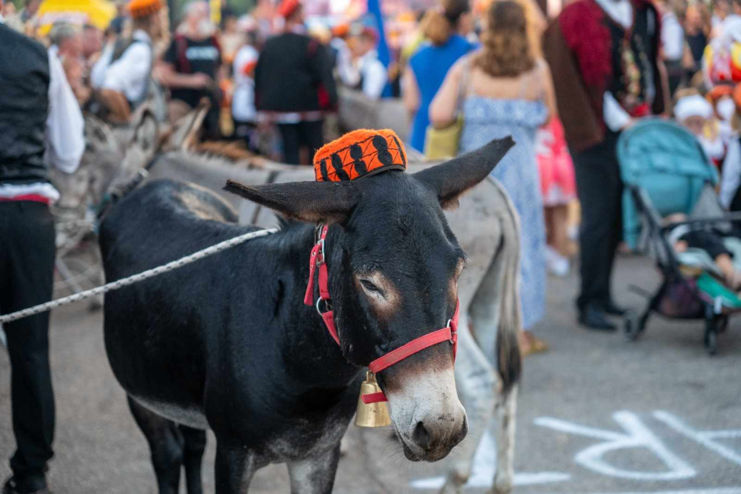 Andrija Popov i magarac Miško pobjednici 57. magarećih utrka