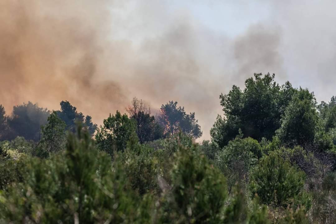 Požar kod Perkovića kojeg je izazvalo zapaljeno auto lokaliziran je