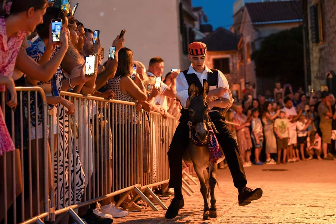 Prijatelji životinja traže ukidanje utrka tovara u Tribunju, Tisnom i drugim mjestima