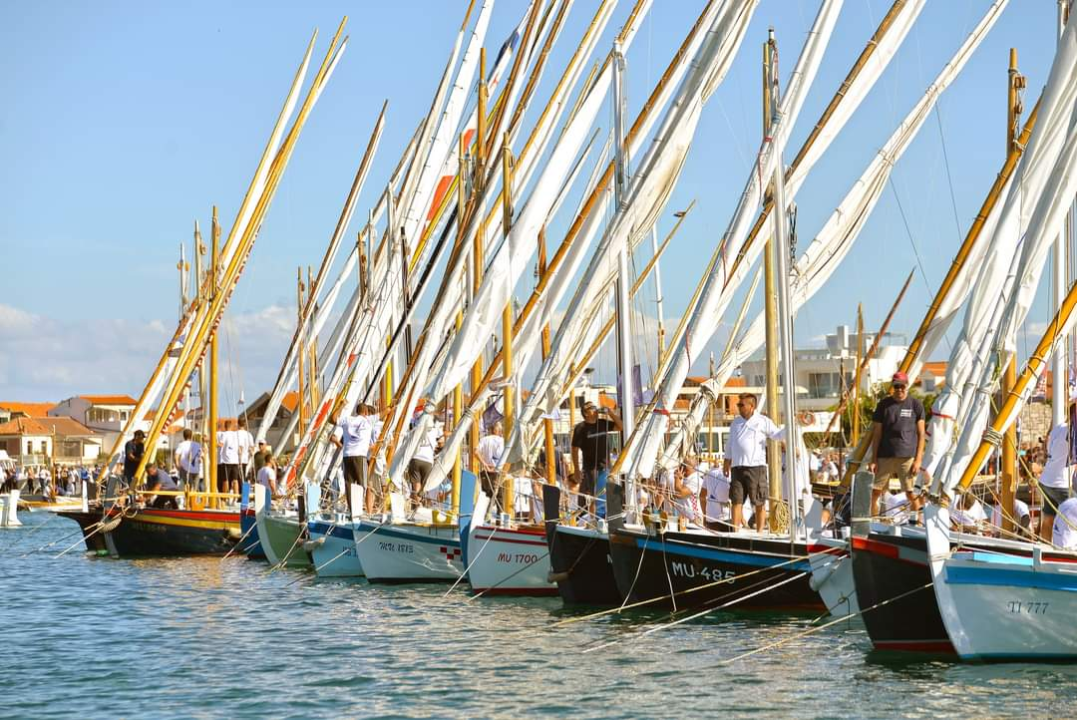 Ove nedjelje na otvorenju 27. Dana Latinskog idra očekuje vas nastup grupe Dalmatino 