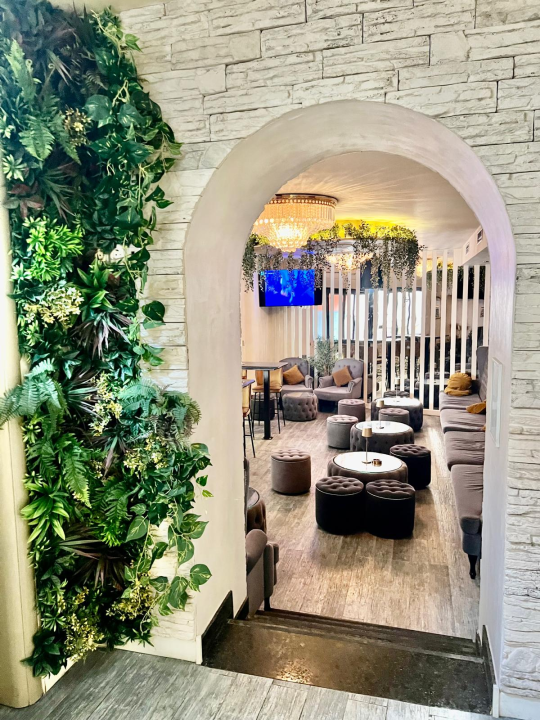 Petak rezervirajte za koncert Sandija u Mozartu! 