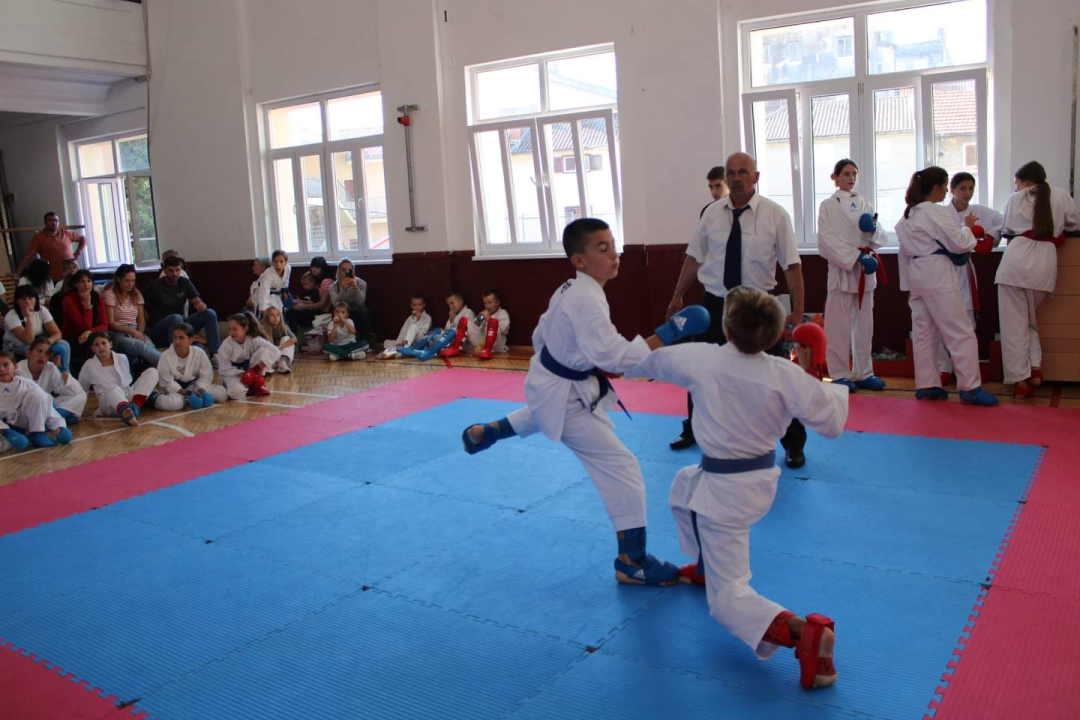 Projekti Liga klubova i Super liga Karate kluba Šibenik 1066 kao način brige za mlade sportaše