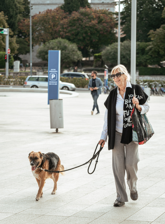 FOTO Đir po gradu, srijeda 23. listopada