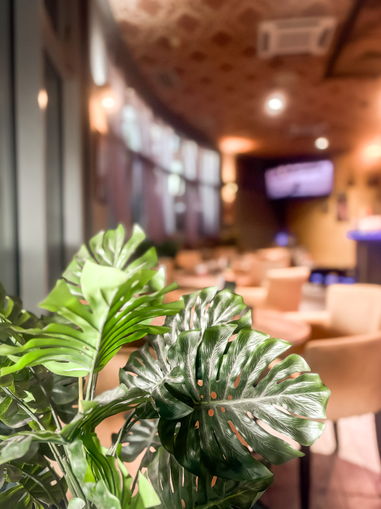 Započinje nova sezona vrhunskih provoda u Majstora i Margarite