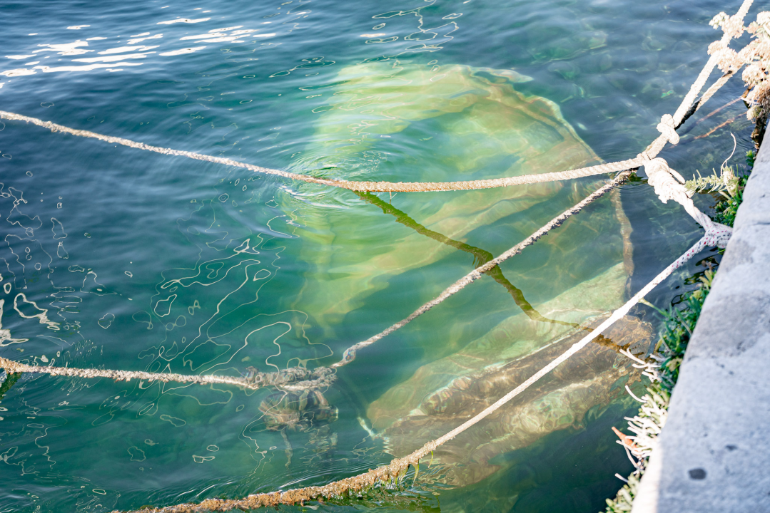 Nebriga, zaborav ili nešto drugo? U Docu na dnu mora leži mala barka