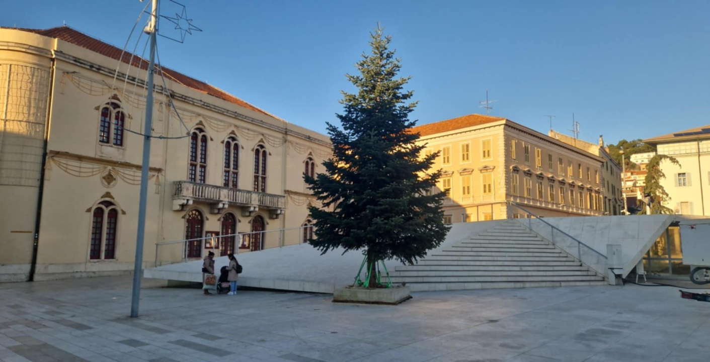 Na Poljani postavljena prva prava šibenska jelka: Kod klizališta stigla ravno sa Šubićevca