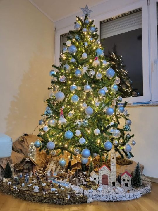 Provjerite tko su pobjednici izbora za naj jelku!