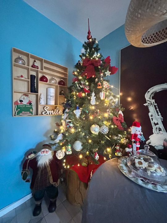 Provjerite tko su pobjednici izbora za naj jelku!