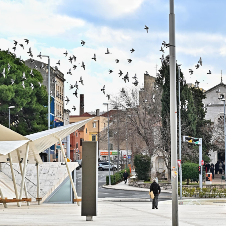 FOTO Đir po gradu, nedjelja 26. siječnja