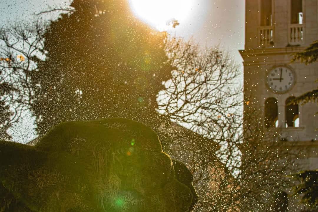 Šibenska živa fontana