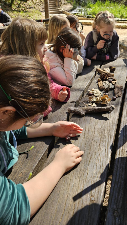  Šibenski prvašići na Skradinskom buku obilježili Svjetski dan šuma