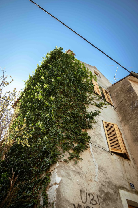 Plišac - život u autentičnom šibenskom kvartu