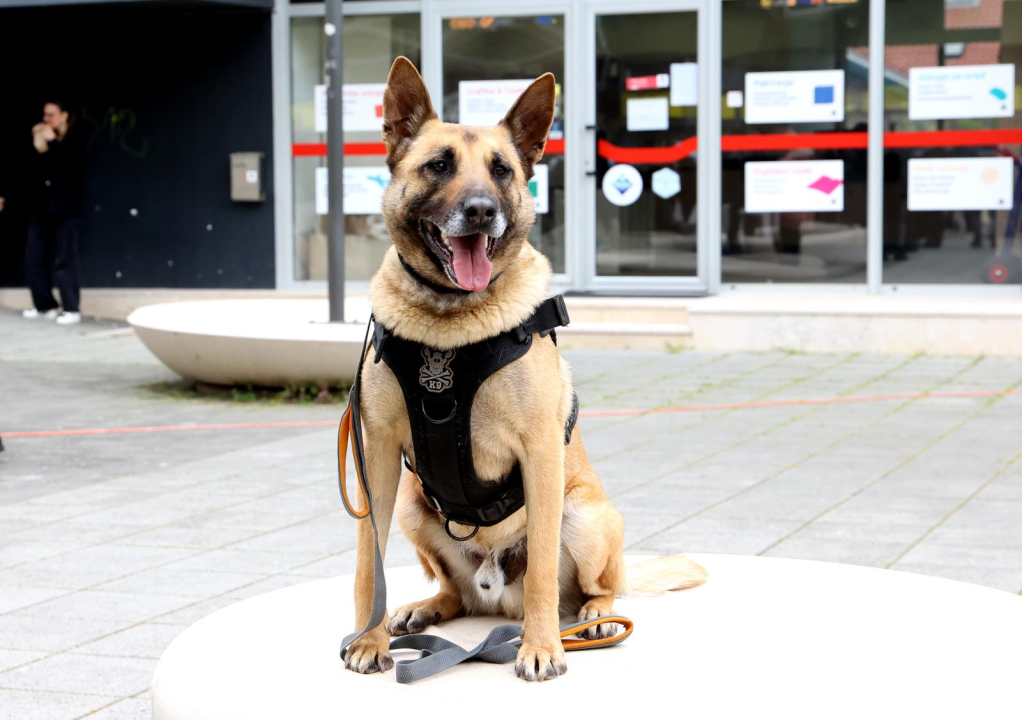 Policajci danas u Šibeniku pokazali svoju 'moć' 