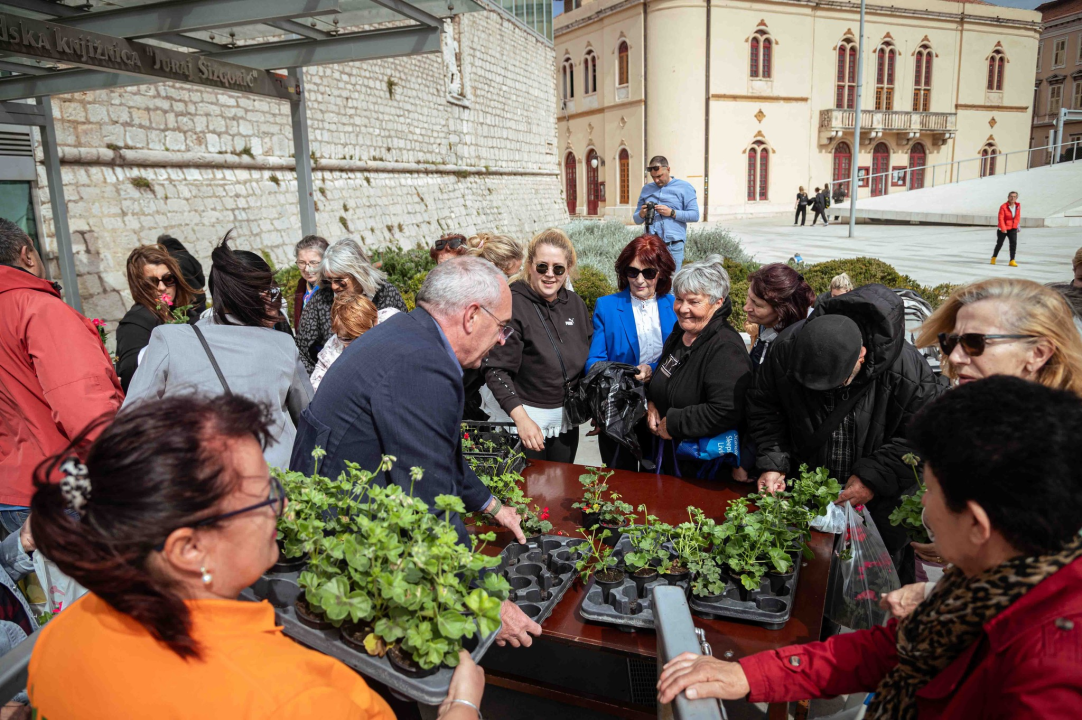 Održana tradicionalna akcija podjele sadnica u Šibeniku