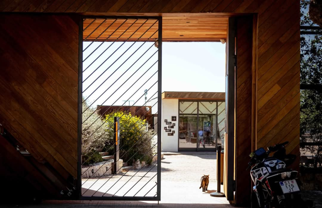 Šubićevac – zelena oaza i srce šibenskog sporta