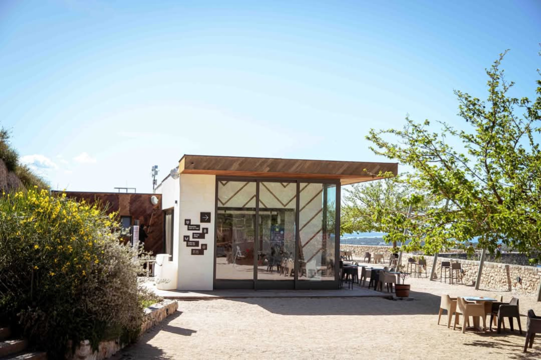 Šubićevac – zelena oaza i srce šibenskog sporta