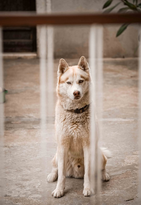 Građa – šibenski kvart između stare gradske jezgre i tvrđava