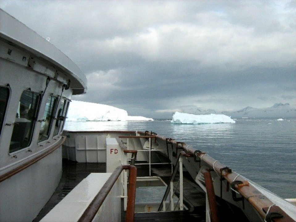 Čini se da Veliki Gogo ipak nije prvi Šibenčanin na Antarktici, prije njega je tamo bio Filip