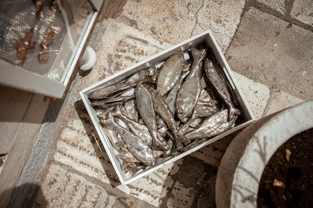 FOTO U Galeriji Juraj Dalmatinac, Bućan i Prica po odličnim cijenama, ali i još mnogo toga!