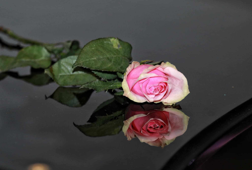 Emotivna komemoracija za Radu Perišu u Arsenu okupila brojne prijatelje i suradnike