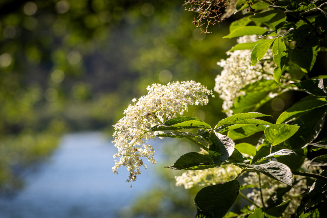 FOTO Ogrlice sred kanjona rijeke Krke