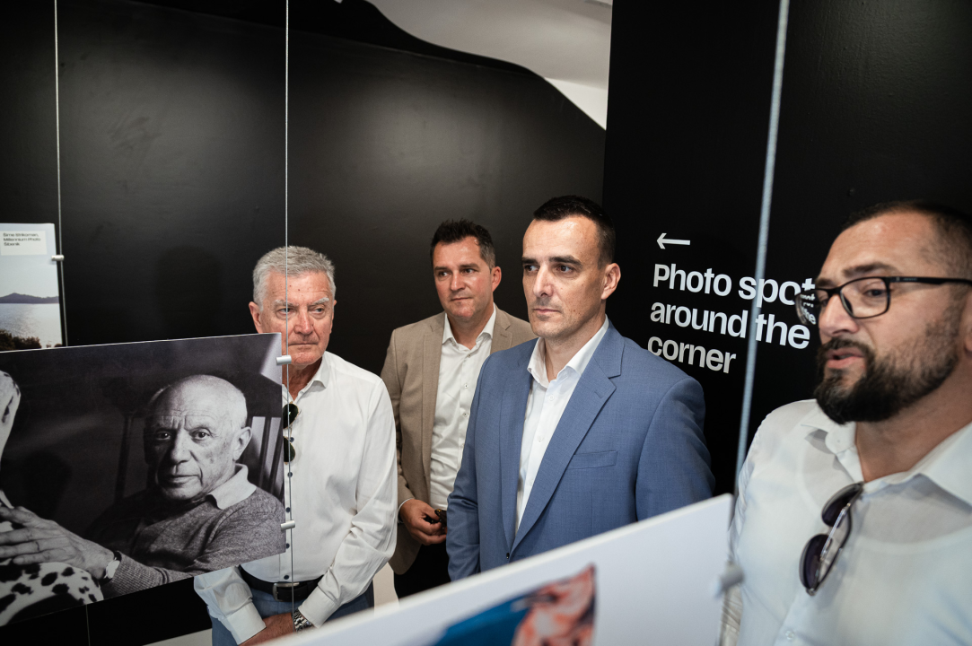 Otvorena Kuća dalmatinskog psa