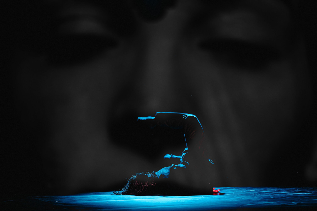 Šibenik Dance Festival