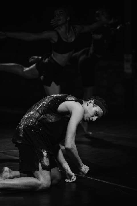 Govor tijela jači od riječi: Večer snažnih poruka na Šibenik Dance Festivalu