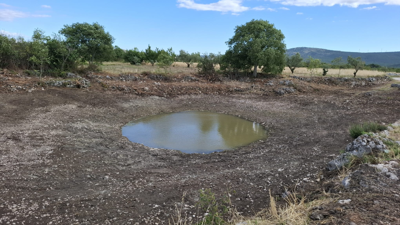 Stručna služba NP Krka u suradnji s lokalcima očistila lokvu Suvaču