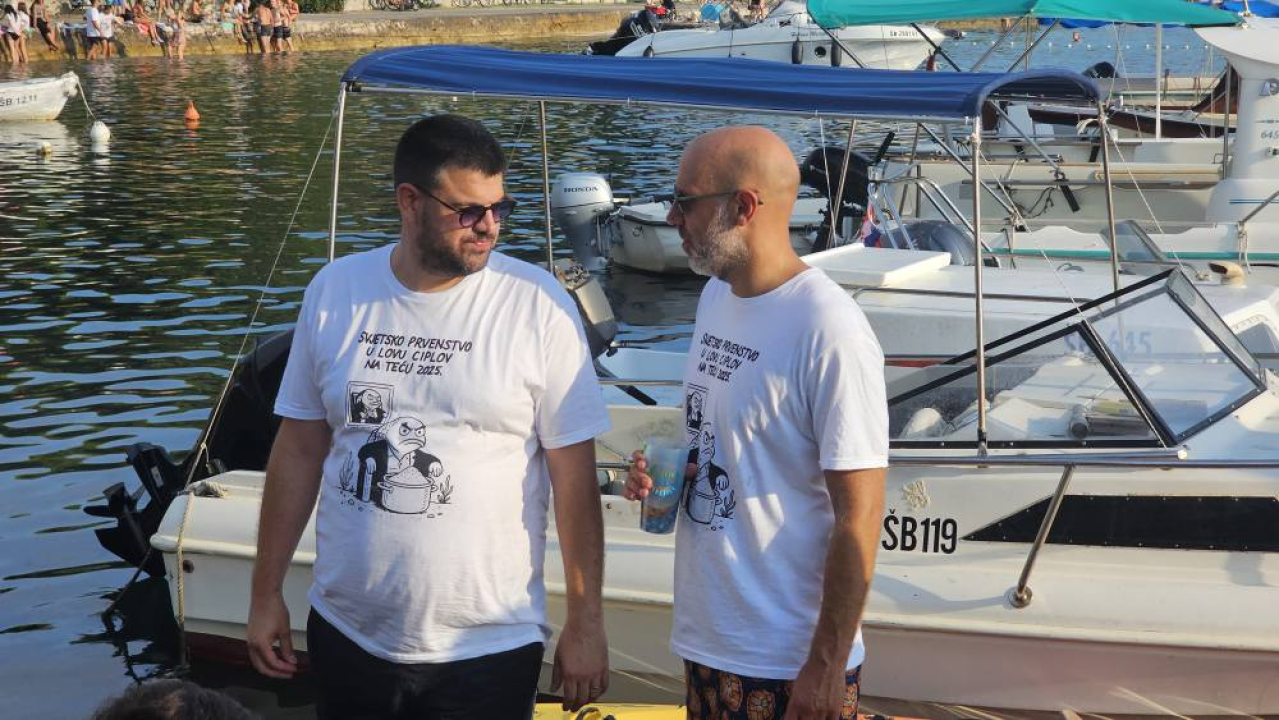 Lov na ciple na teću