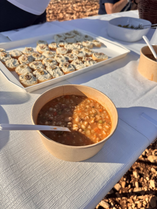 'Piknikom u masliniku' službeno završilo 'Lito u Pirovcu'