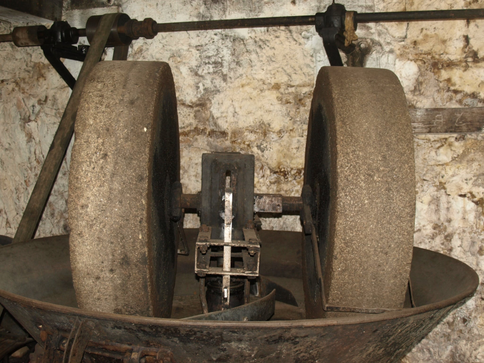 Zlato Kruševa i ponos Primoštena: Uljarske priče i spiza koja je othranila generacije