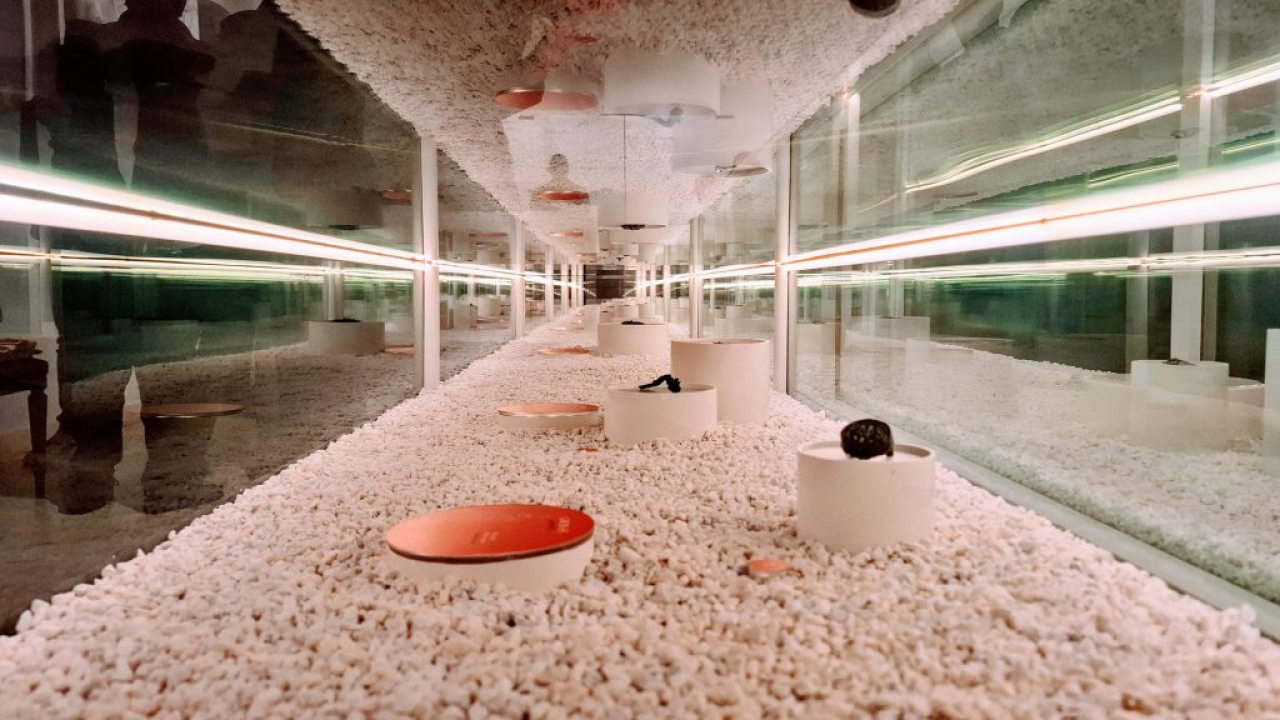 Život i smrt u kasnoantičkoj Dalmaciji: Otvorena izložba na Kaštelu Belveder u Kninu