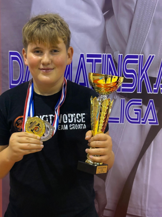 Dalmatinska karate liga