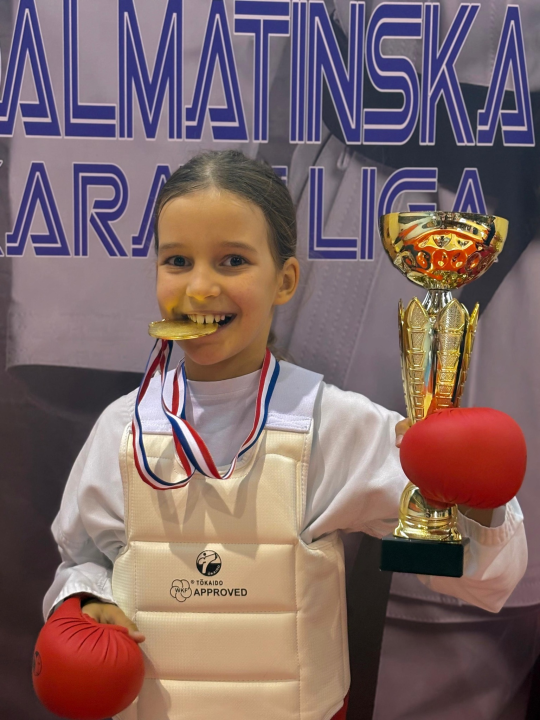 Dalmatinska karate liga