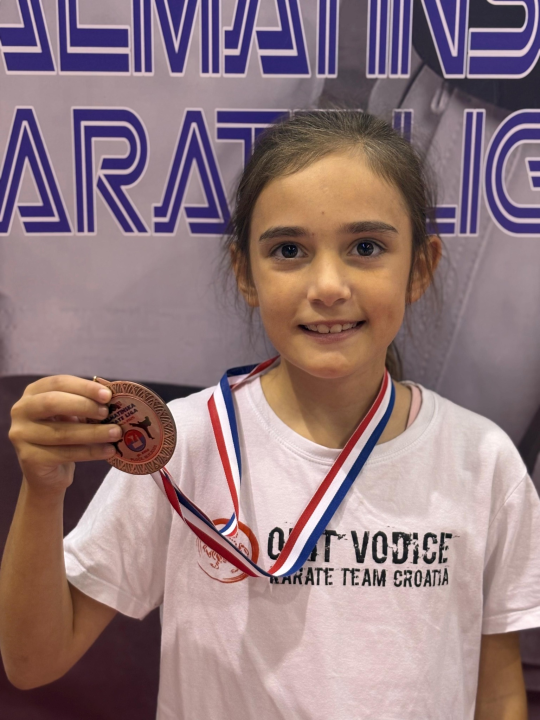 Dalmatinska karate liga