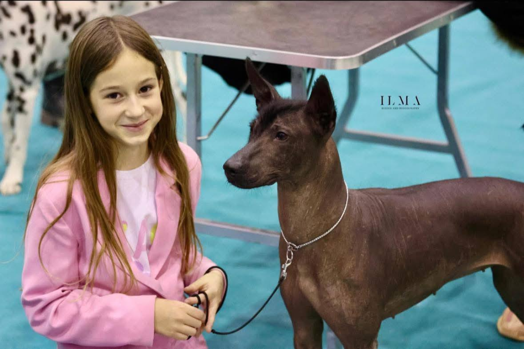 Anđela je najbolji mladi vodič pasa