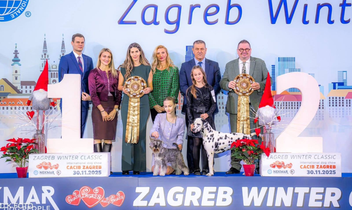 Anđela je najbolji mladi vodič pasa