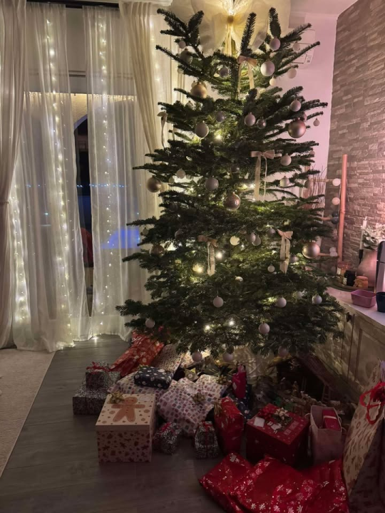 Odluka je pala: Donosimo vam pobjednike izbora najljepše božićne jelke ŠibenikIN-a