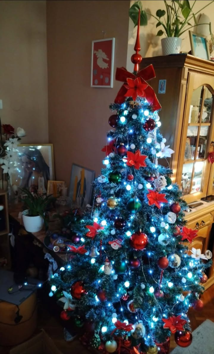 Odluka je pala: Donosimo vam pobjednike izbora najljepše božićne jelke ŠibenikIN-a