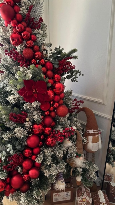 Odluka je pala: Donosimo vam pobjednike izbora najljepše božićne jelke ŠibenikIN-a