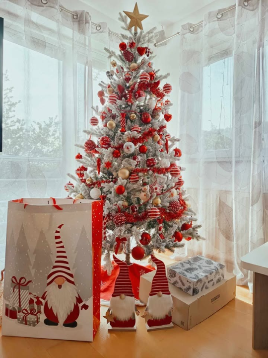 Odluka je pala: Donosimo vam pobjednike izbora najljepše božićne jelke ŠibenikIN-a