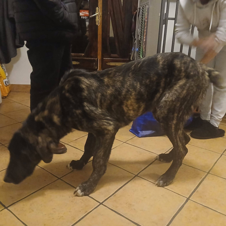 Pokrenut 'Lanac dobrote': Ovi sretnici su izašli iz šibenskog As Eka