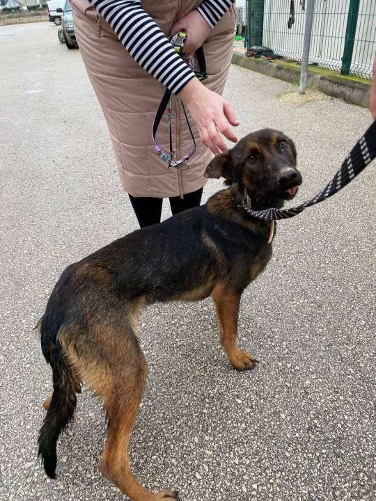 Pokrenut 'Lanac dobrote': Ovi sretnici su izašli iz šibenskog As Eka