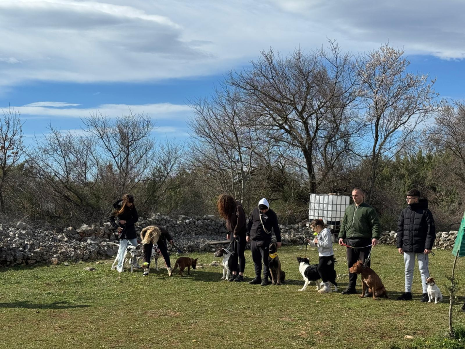 Održano 3. izdanje natjecanja 'Ghetto Dog' u Pokrovniku