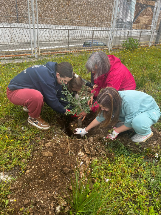  ‘Jedno stablo – jedan dom’