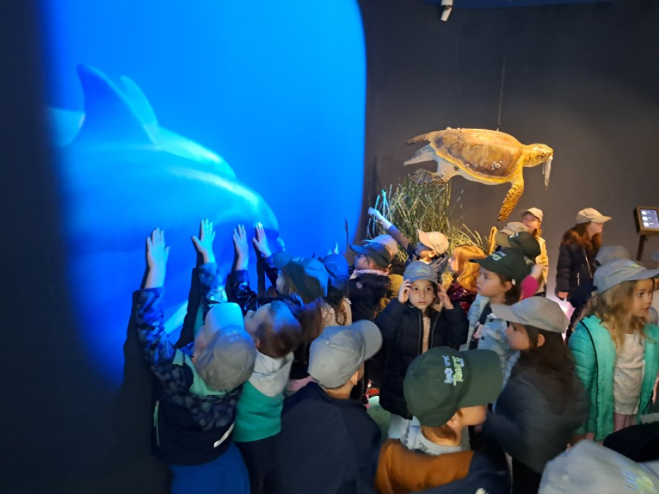 Mališani iz DV Tamaris Vodice obilježili Svjetski dan voda u kanalu sv. Ante