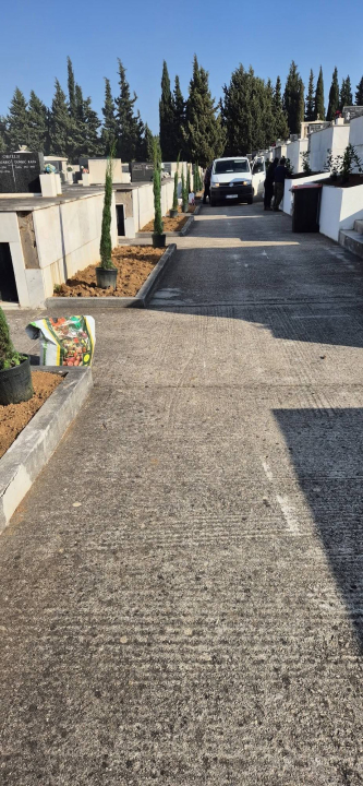 Čempresi završili velik posao: Zasađeno 150 stabala, uklonjeno staro bilje i zamijenjena zemlja