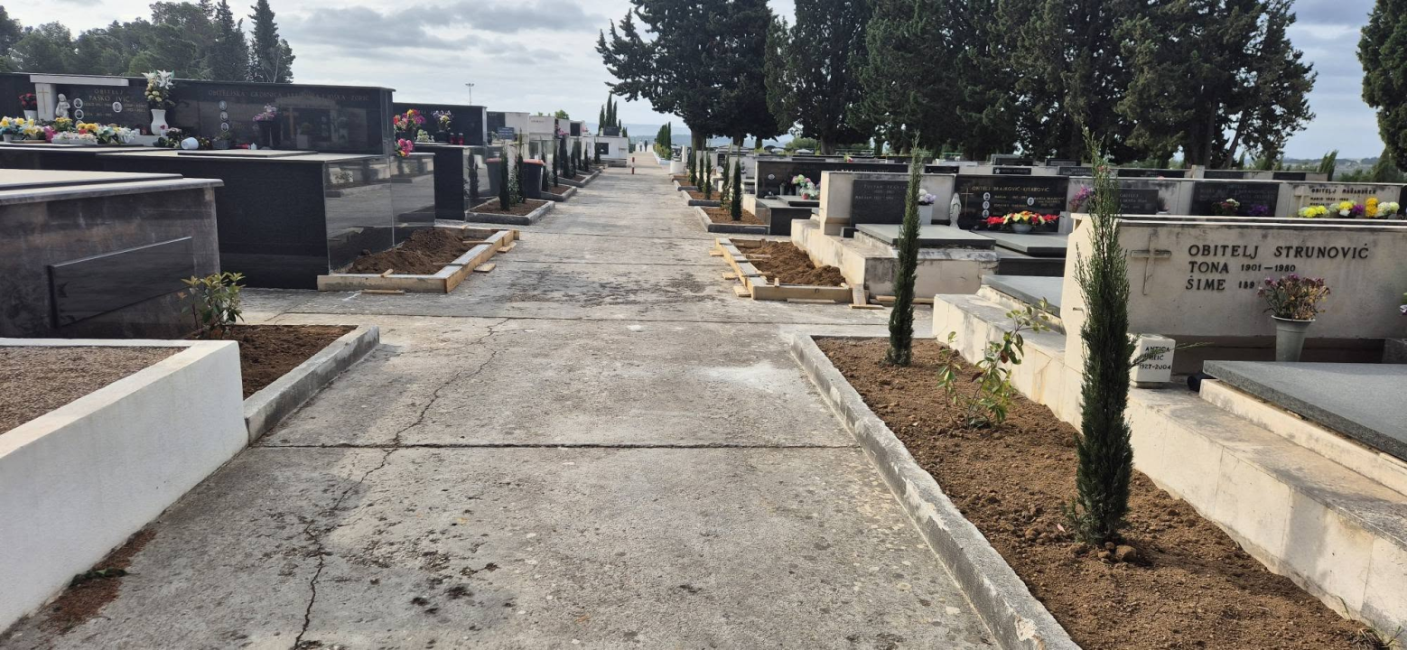 Čempresi završili velik posao: Zasađeno 150 stabala, uklonjeno staro bilje i zamijenjena zemlja