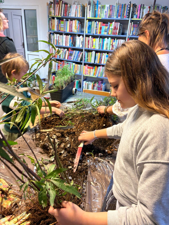 Pripremljeno 70 sadnica lavandule i ruellije za eko-akciju u Zatonu i Raslini